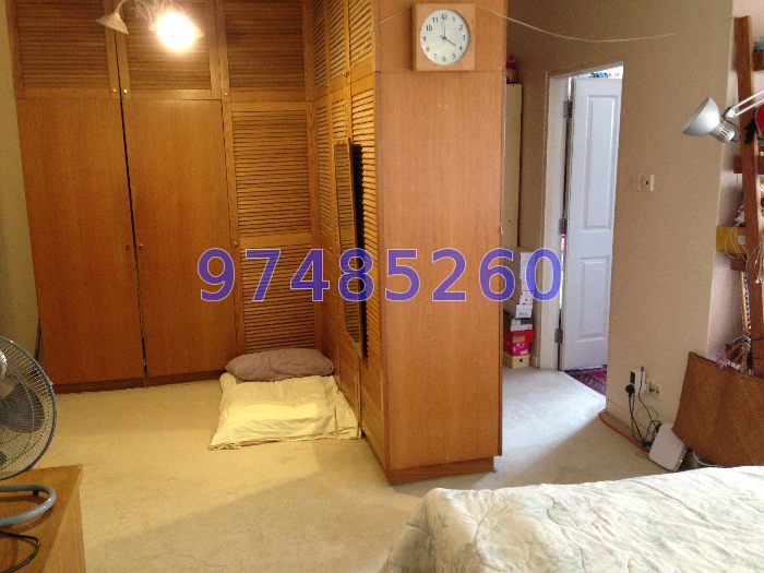 Jalan Singa (D14), Semi-Detached #38319472
